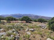 Kounali MIT BESICHTIGUNGSVIDEO: Baugrundstück mit herrlichem Meer- und Bergblick Grundstück kaufen